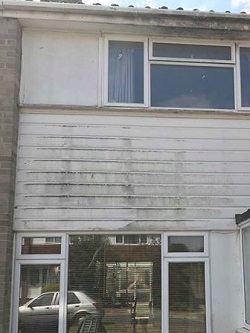 Fascia cleaning