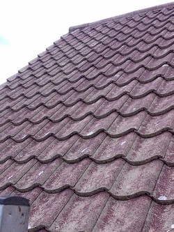 Roof cleaning / repair