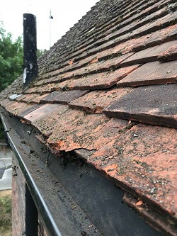 Roof cleaning / repair