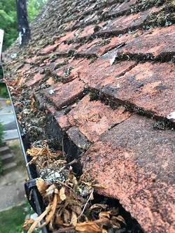 Roof cleaning / repair