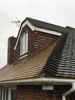 Roof cleaning / repair