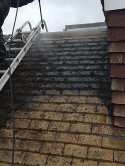 Roof cleaning / repair