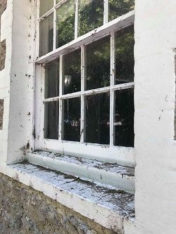 Window cleaning